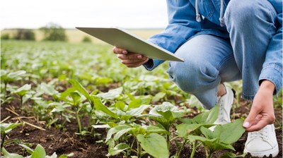 Benvinguts a Agrixels