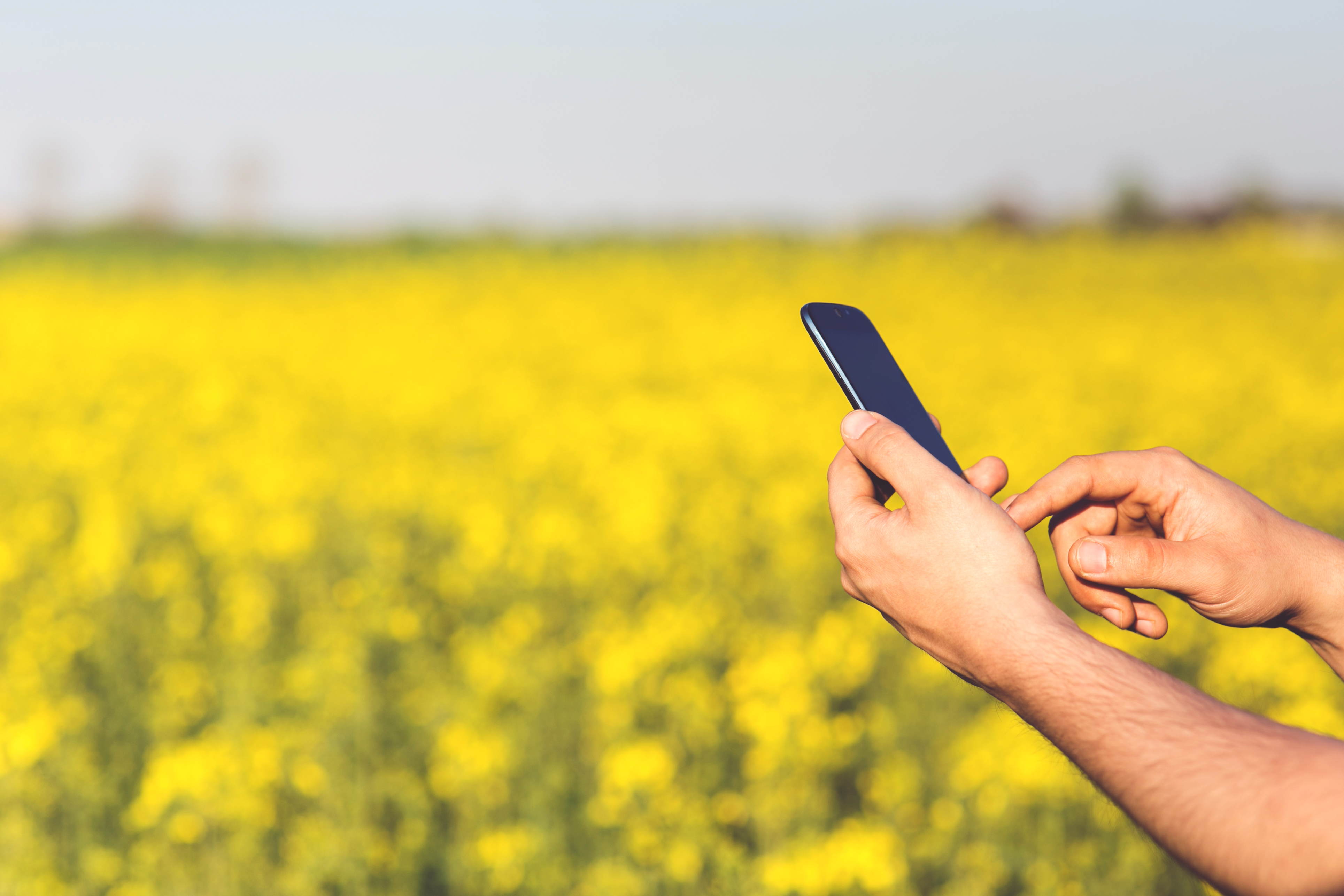 Newsletter Agrixels