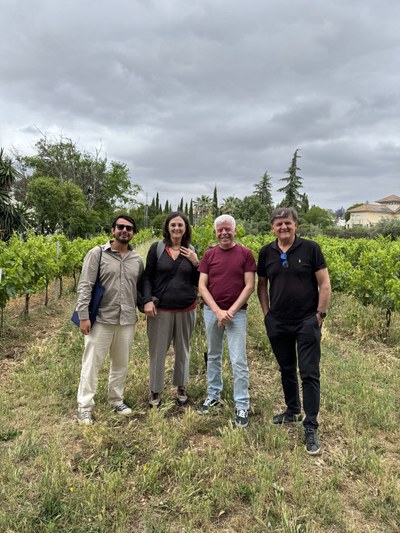 Agrixels impulsa la digitalización del sector vitivinícola en Montilla-Moriles Agrixels impulsa la digitalización del sector vitivinícola en Montilla-Moriles