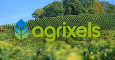 Agrixels: la revolución de los datos que impulsa el futuro del sector agroalimentario Agrixels: la revolución de los datos que impulsa el futuro del sector agroalimentario